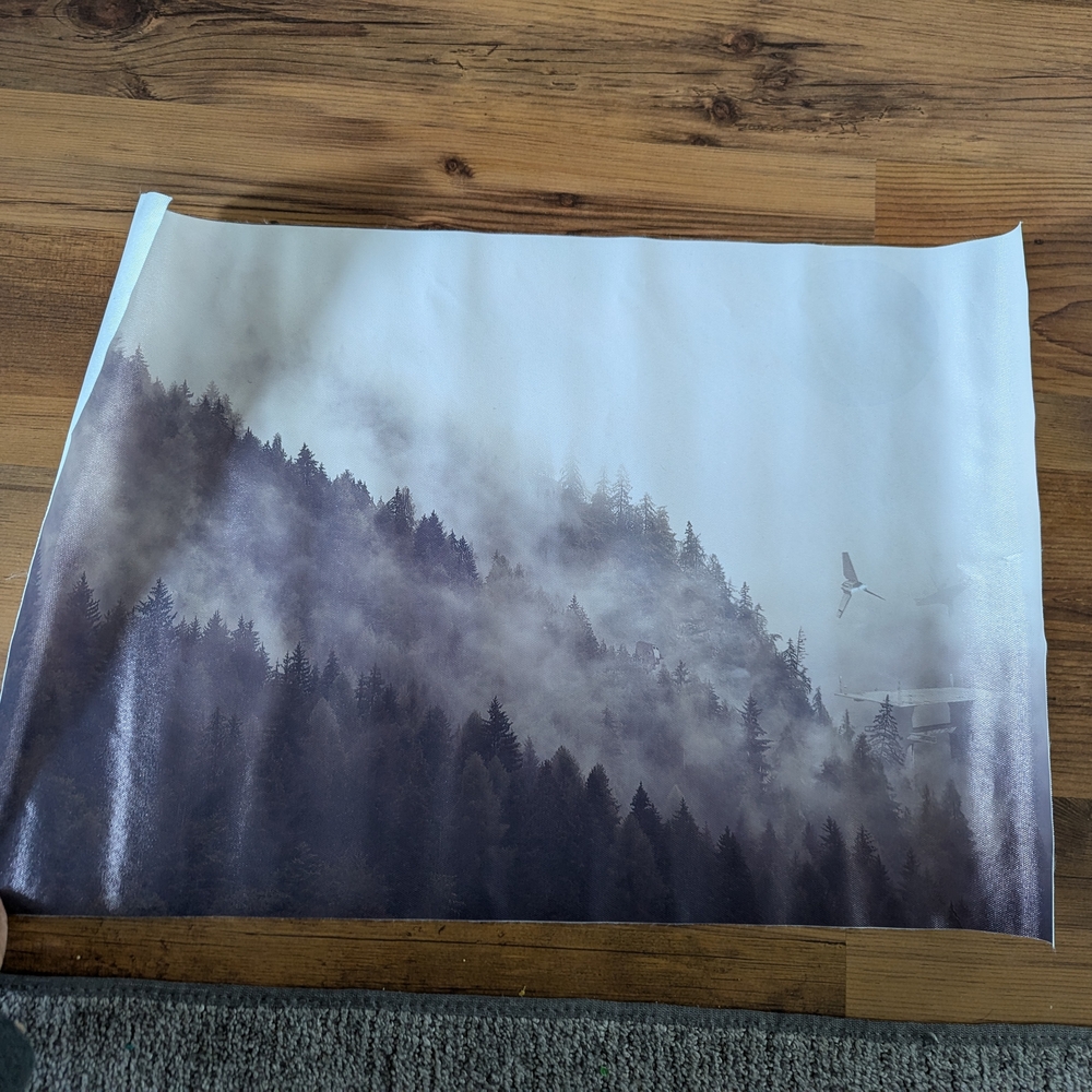 New Misty Forest Landscape Poster